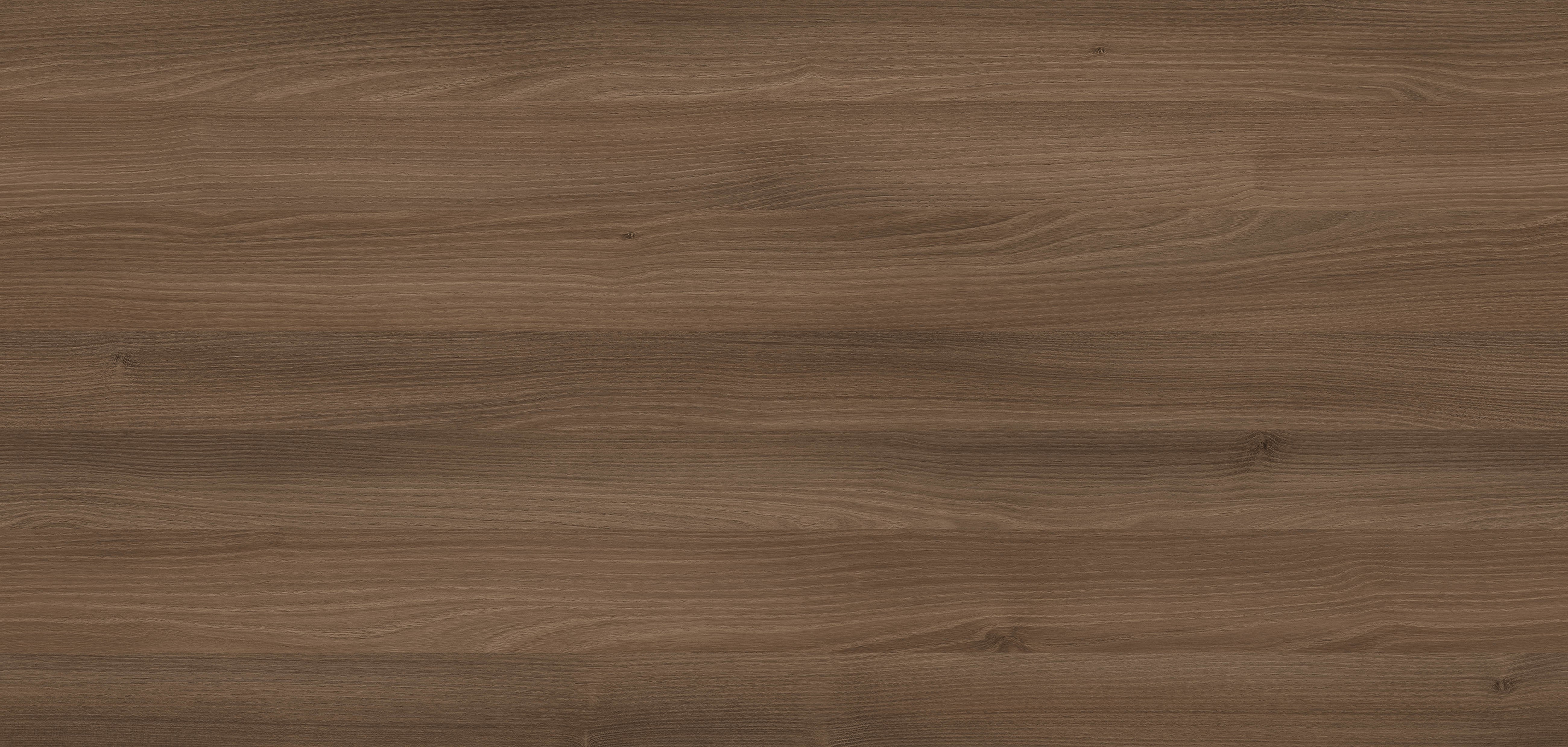 Stolkar - Cynamonowa akacja